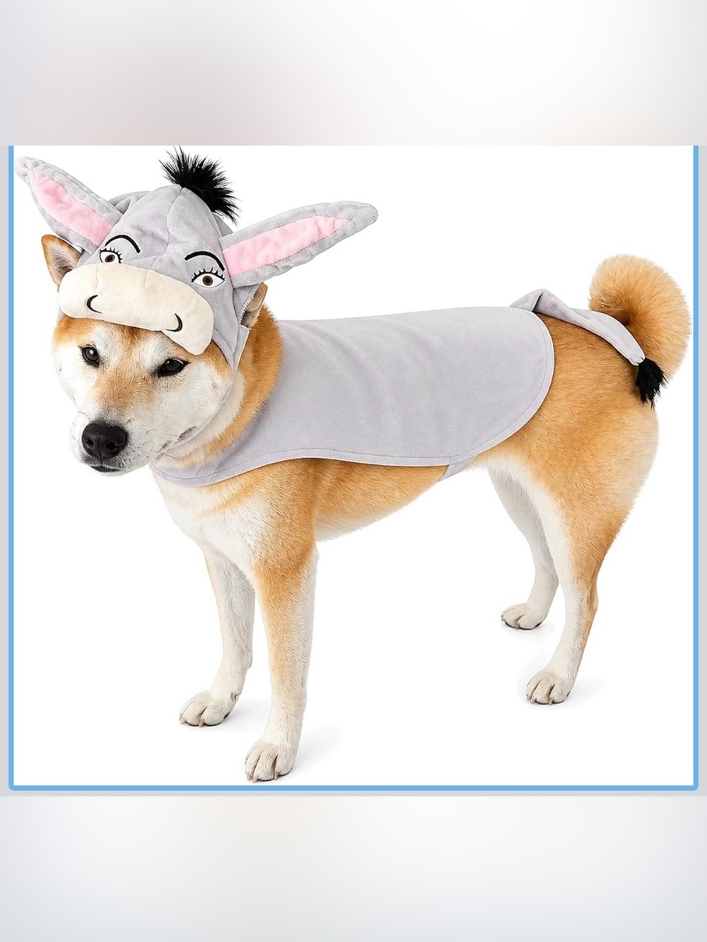 Dog Halloween costume